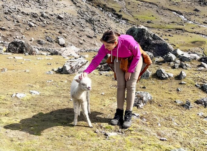 Trekking 7 Lagoons + Hot Springs - Frequently Asked Questions