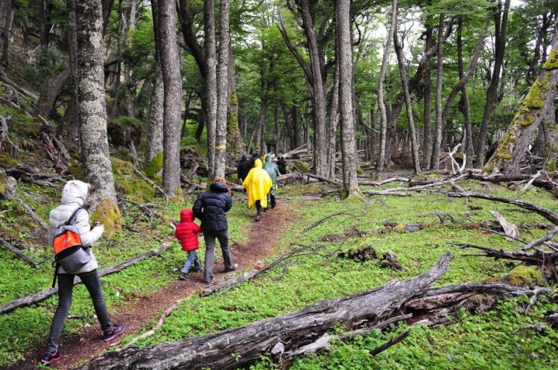 Trekking Adventure: Explore El Chaltén With Lunch Included - Hiking and Safety Information