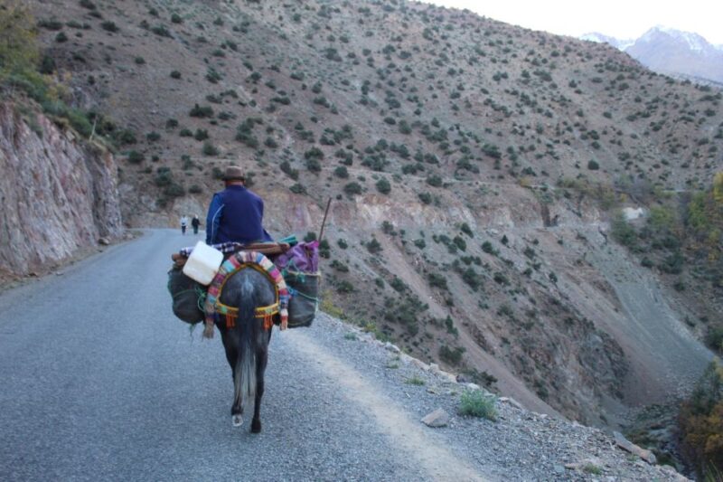 Trekking and Hiking in Morocco 2 Day Trek in Atlas Mountains - Exclusions and Limitations