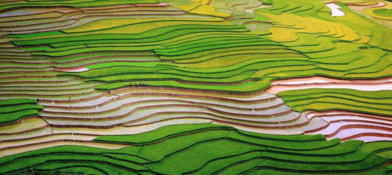 Trekking and Motorbike Full Day in Mu Cang Chai - Key Points