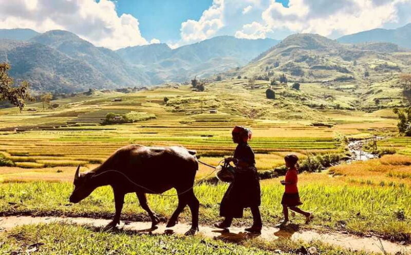 Trekking and Motorbike Full Day in Mu Cang Chai - Explore the Terraced Rice Fields