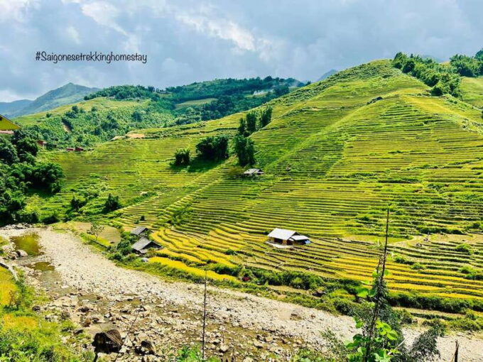 Trekking and Motorbike Full Day in Mu Cang Chai - Discover the Art of Rice Cultivation