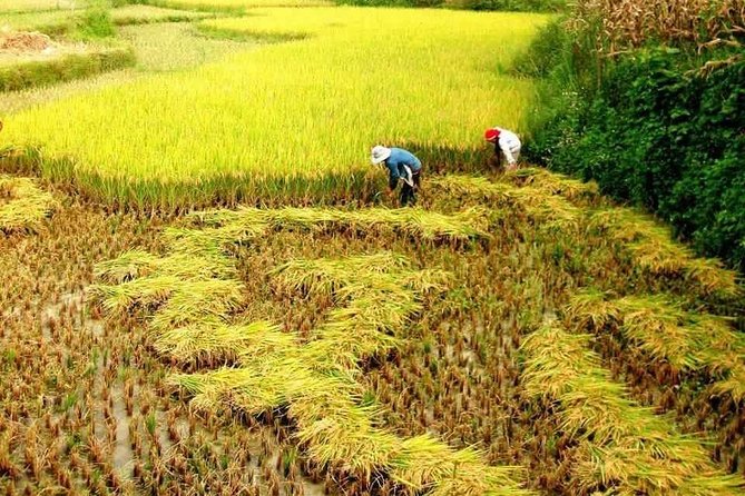 Trekking and Tribal Villages Tour Review - Tour Overview