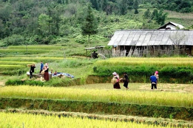 Trekking and Tribal Villages Tour Review - Traveler Feedback