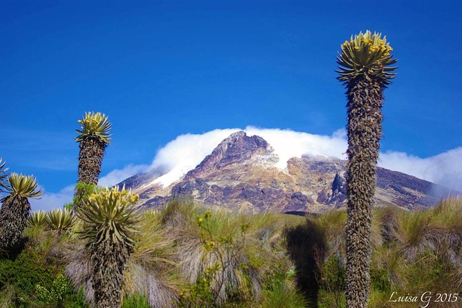 Trekking at Los Nevados National Natural Park - Key Points