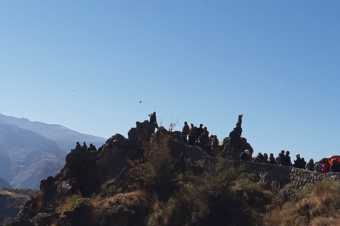 Trekking At The Colca Colca 2day And 1nights - Observing the Andean Condor
