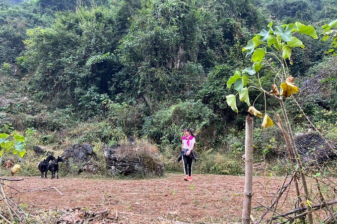 Trekking Ban Gioc Waterfall to Hidden Village on Unique Route - Day 1 Itinerary Breakdown