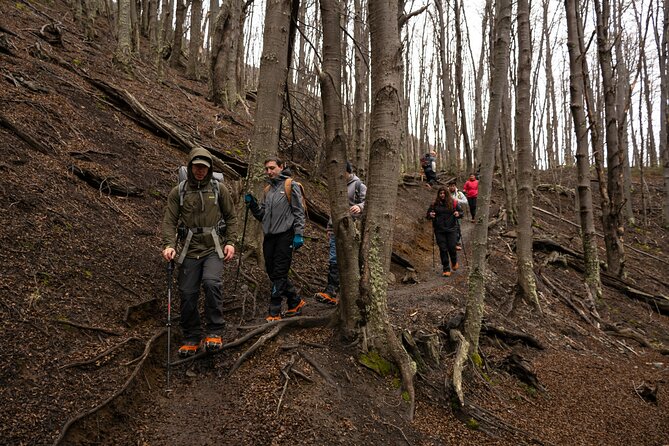 Trekking Base Las Torres Without Lunch - Packing Recommendations