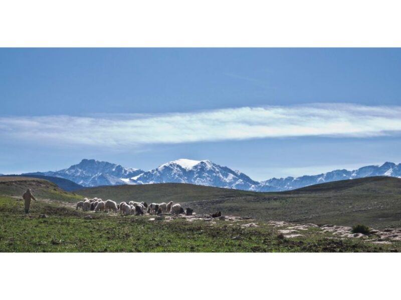 Trekking Berber Trails and Embracing Cultural Traditions - Key Points