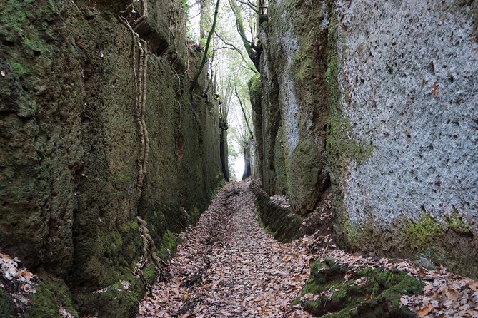 Trekking Excursion History and Nature Necropolis of Norchia From Rome - Meeting and Pickup Information