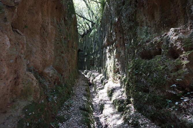 Trekking Excursion History and Nature Necropolis of Norchia From Rome - Health and Accessibility Considerations