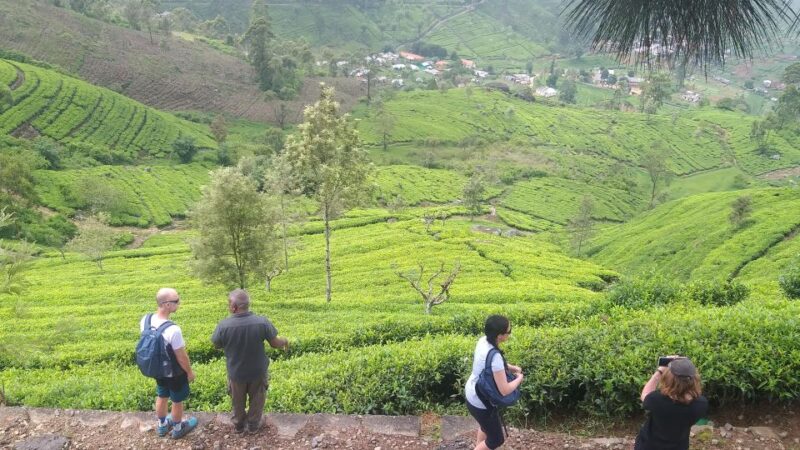 Trekking From Kandy to Ella - Itinerary Highlights