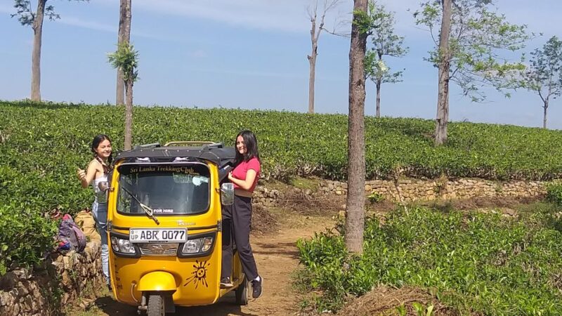 Trekking From Kandy to Ella - Transportation and Guide