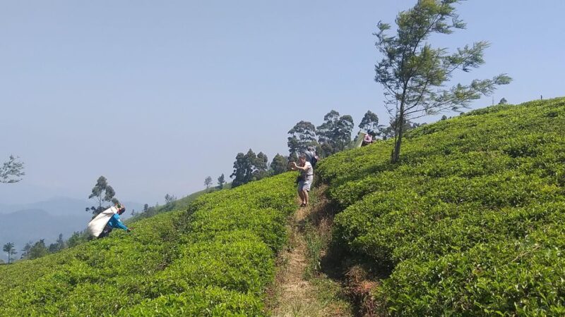 Trekking From Kandy to Ella - Entrance Fees and Attractions