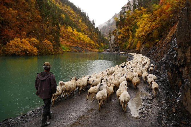 Trekking Group Tour From Tusheti to Khevsureti via Atsunta Pass - Itinerary Breakdown