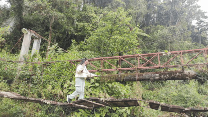 Trekking/Hiking in the Cocora Valley From Pereira or Armenia - Recap