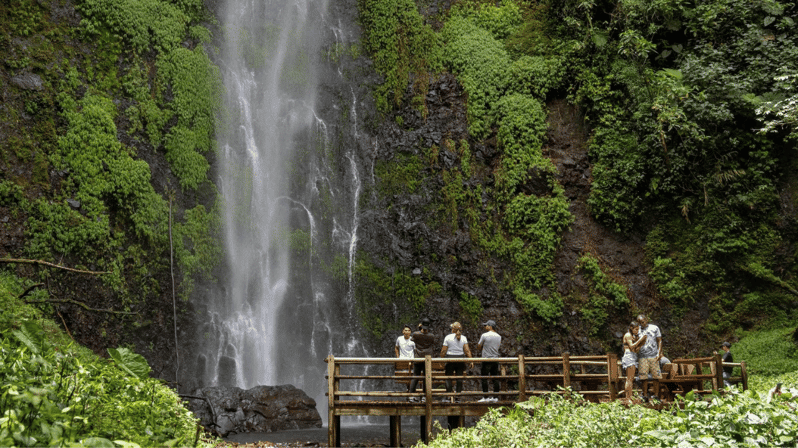 Trekking/Hiking Yarumo Blanco Waterfall From Pereira or Armenia - Pricing and Reservations