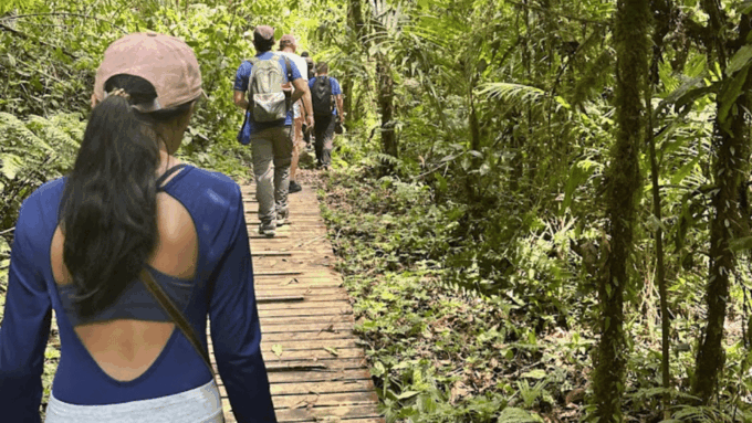 Trekking/Hiking Yarumo Blanco Waterfall From Pereira or Armenia - Experience Highlights