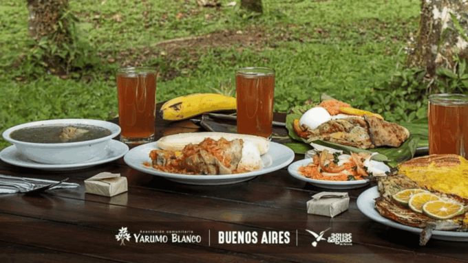Trekking/Hiking Yarumo Blanco Waterfall From Pereira or Armenia - Visitor Feedback