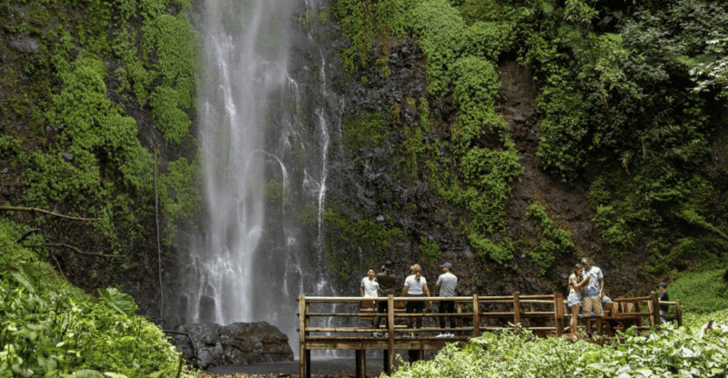 Trekking/Hiking Yarumo Blanco Waterfall From Pereira or Armenia - Key Points