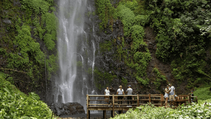 Trekking/Hiking Yarumo Blanco Waterfall From Pereira or Armenia - Experience Highlights