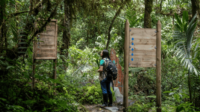 Trekking/Hiking Yarumo Blanco Waterfall From Pereira or Armenia - Recap