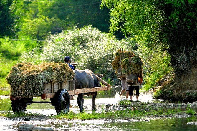Trekking In Mai Chau - Pu Luong Nature Reserve Tour 3 Days - Itinerary Day 1