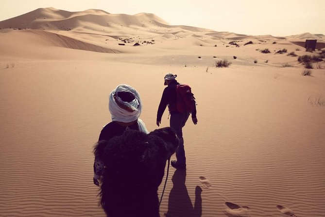 Trekking in Morocco / Atlas Mountains and Sahara Trek (5days) - Pickup Information