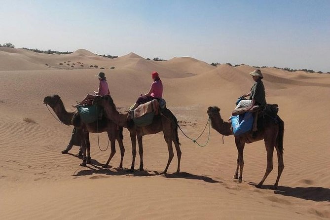 Trekking in Morocco / Atlas Mountains and Sahara Trek (5days) - Preparation and Seasonal Notes
