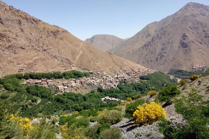Trekking in Morocco / Atlas Mountains and Sahara Trek (5days) - Transport From/To Marrakech