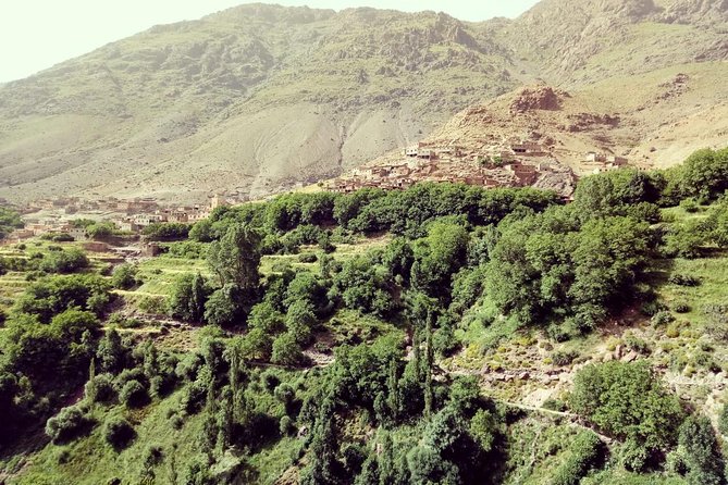 Trekking in Morocco / Atlas Mountains and Sahara Trek (5days) - Qualified Guide and Mules