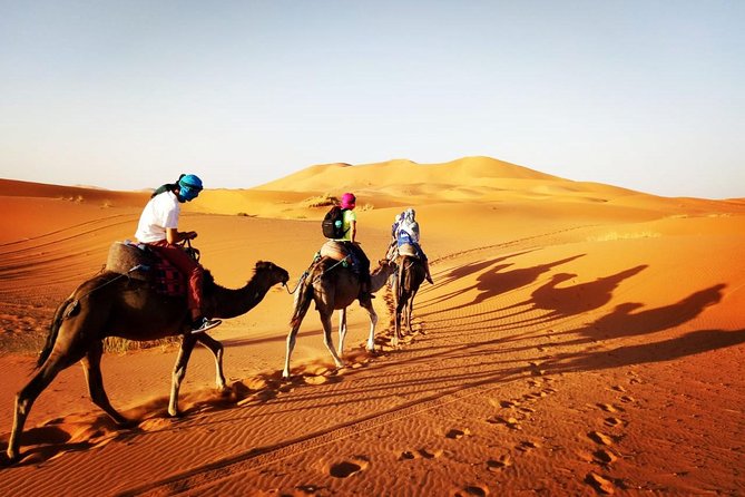 Trekking in Morocco / Atlas Mountains and Sahara Trek (5days) - Camels for Desert Trek