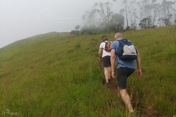 Trekking in Munnar - Physical Fitness Requirements
