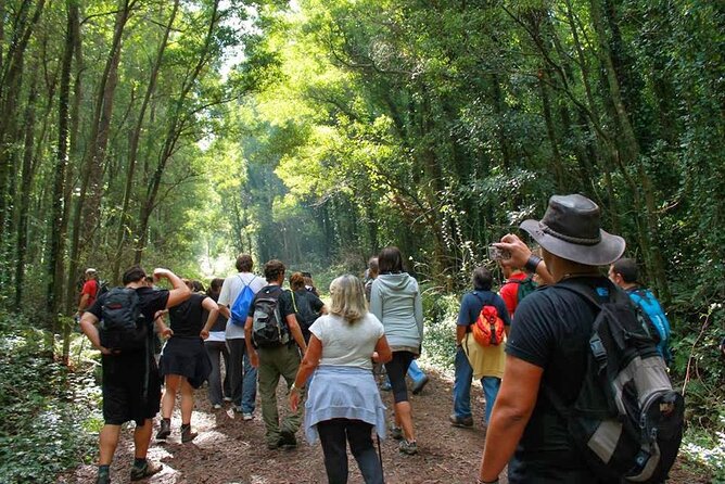 Trekking in Portugal: Serra De Sintra Natural Park - Guided Hiking Experience