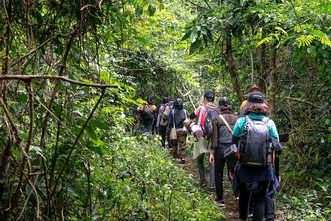Trekking in Portugal: Serra De Sintra Natural Park - Included and Excluded Items