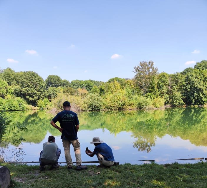 Trekking in the Wood With Picnic on the Turtles Lake - What to Expect During the Tour