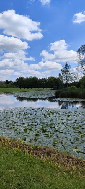 Trekking in the Wood With Picnic on the Turtles Lake - Booking and Cancellation Policies