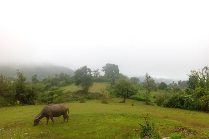 Trekking Kalaw to Inle Lake - Discovering Kone Hla Village