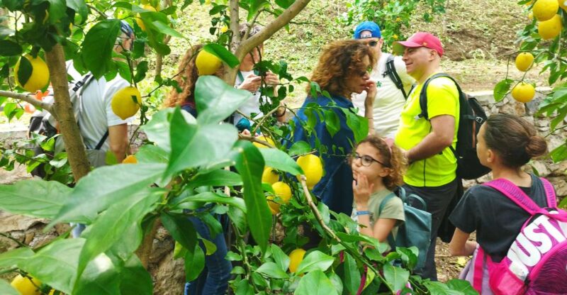 Trekking Lemon Tour - Experience Details