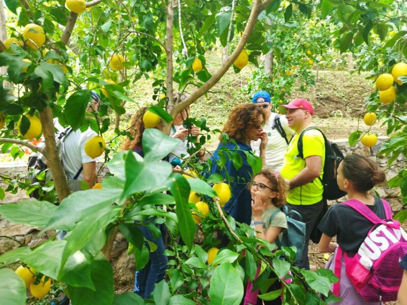 Trekking Lemon Tour - Guided Tour