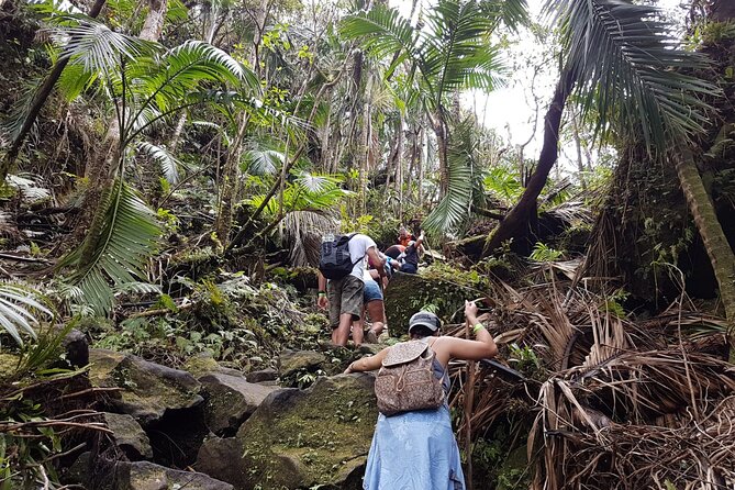 Trekking Mt. Liamuiga Volcano (Full-Day Guided ) - Booking Information and Cancellation Policy