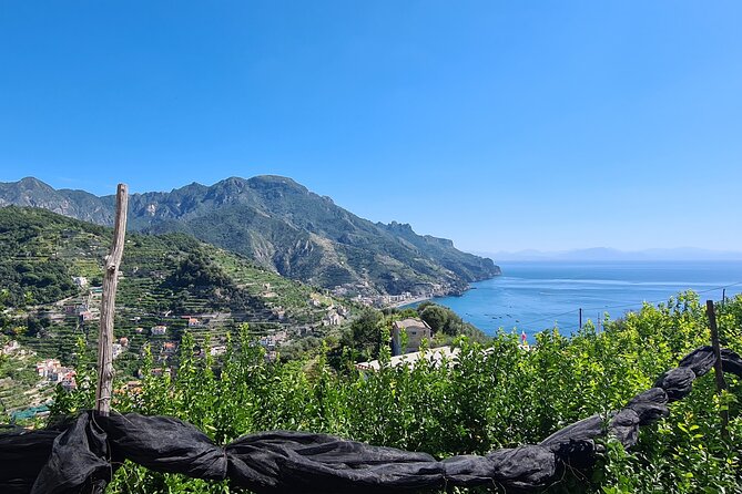 Trekking of the Amalfi Coast - 4 Days / 3 Nights - Ratings and Authenticity