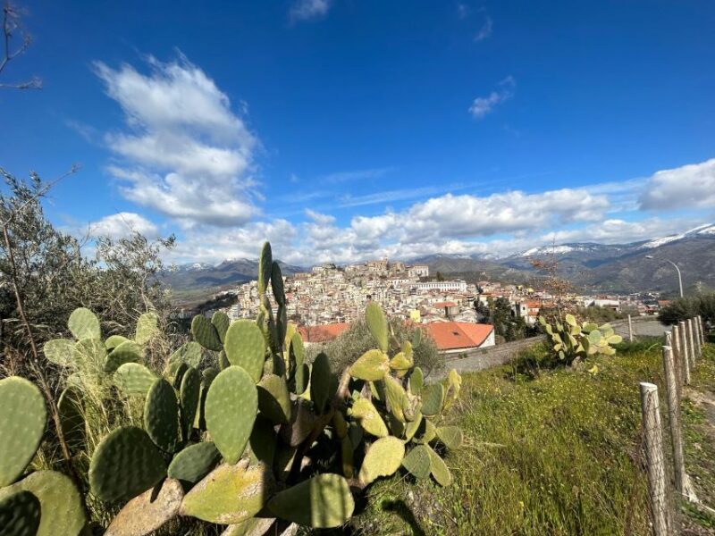 Trekking of the Village of Castiglione Di Sicilia - Inclusions in the Tour