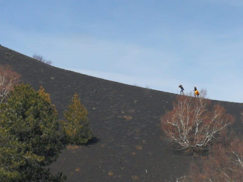 Trekking on Etna and Visiting the Cave of Snow - Booking Information