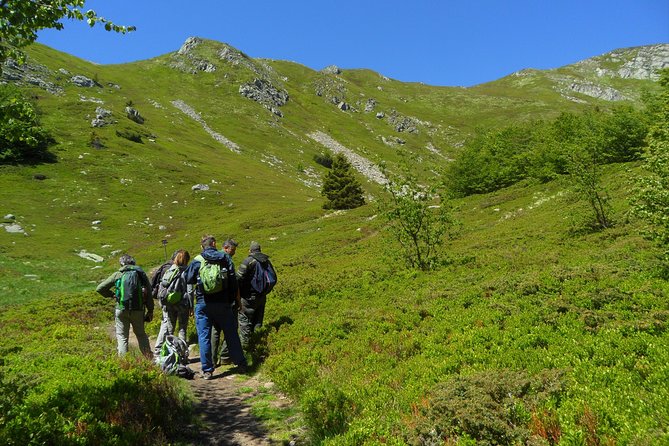 Trekking on the Roof of Tuscany - Exploring the Lucca Landscape