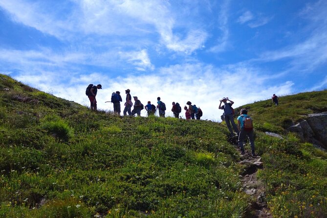Trekking on the Roof of Tuscany - Savoring the Culinary Delights