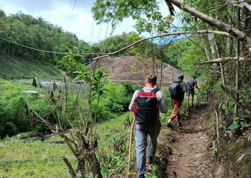 Trekking One Day With Elephant Care + Bamboo Rafting - Itinerary Details