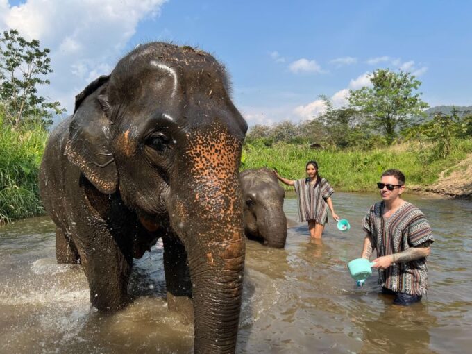 Trekking One Day With Elephant Care + Bamboo Rafting - Hotel Pick-up and Drop-off