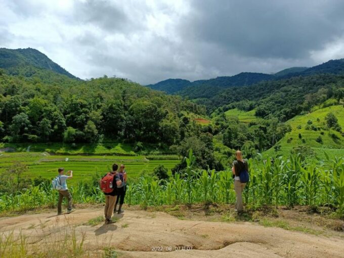 Trekking One Day With Elephant Care + Bamboo Rafting - Recap