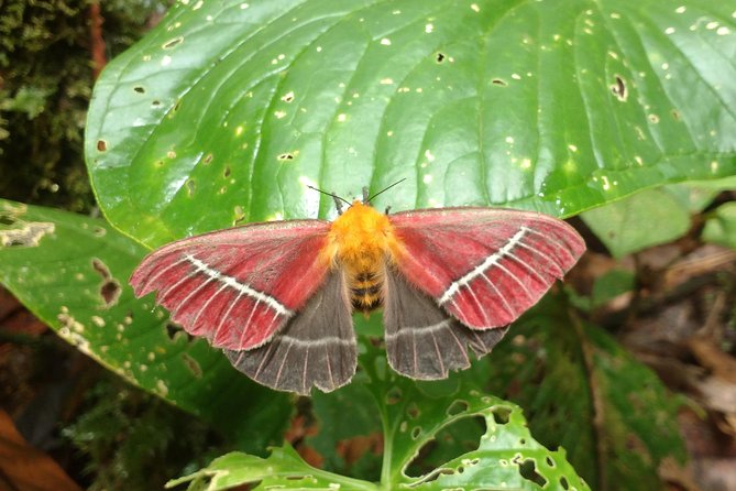 Trekking & Rivering Reserve Pericos - Tour Duration and Inclusions